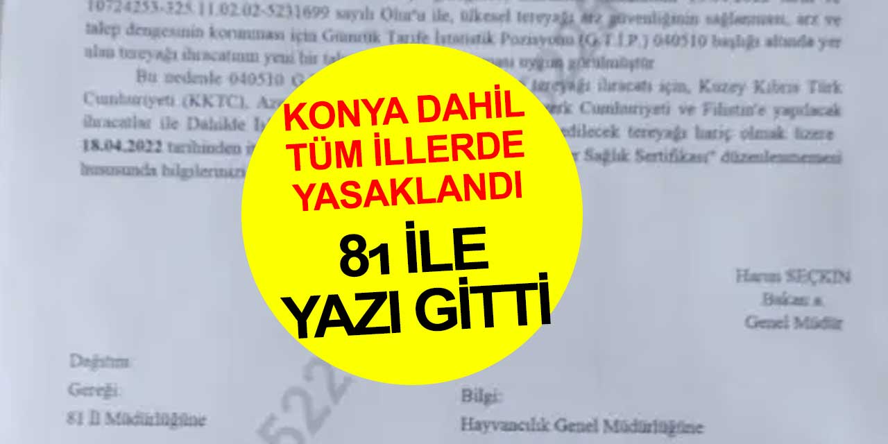Türkiye'nin en büyük üretici şehri Konya dahil 81 ilde tereyağına ihracat yasağı geldi