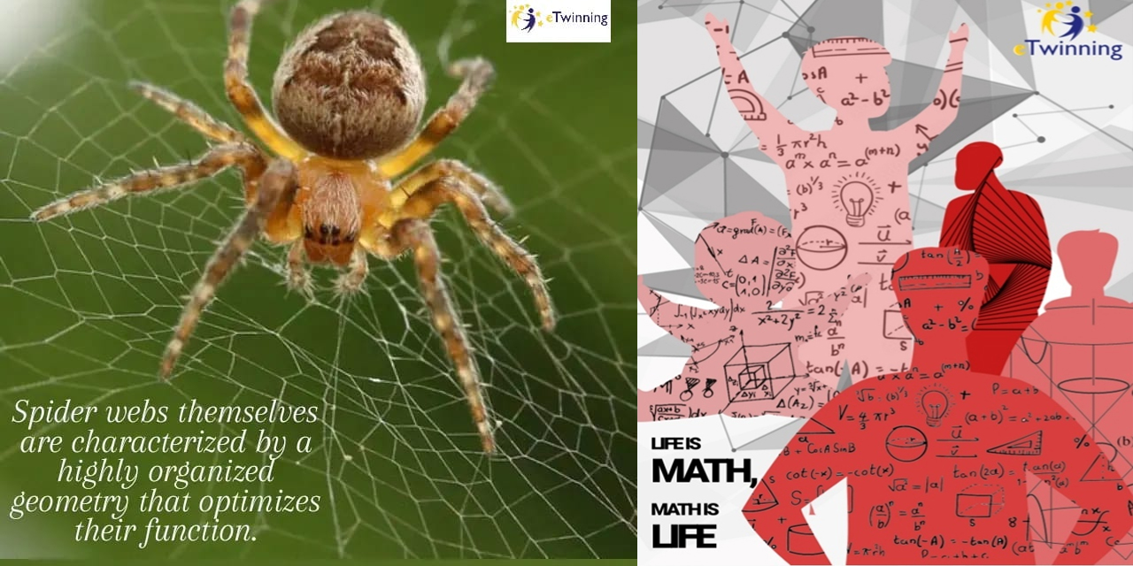 Konya Ereğli Fen Lisesi öğrencilerinden matematiğe farklı bir bakış açısı getiren eTwinning projesi