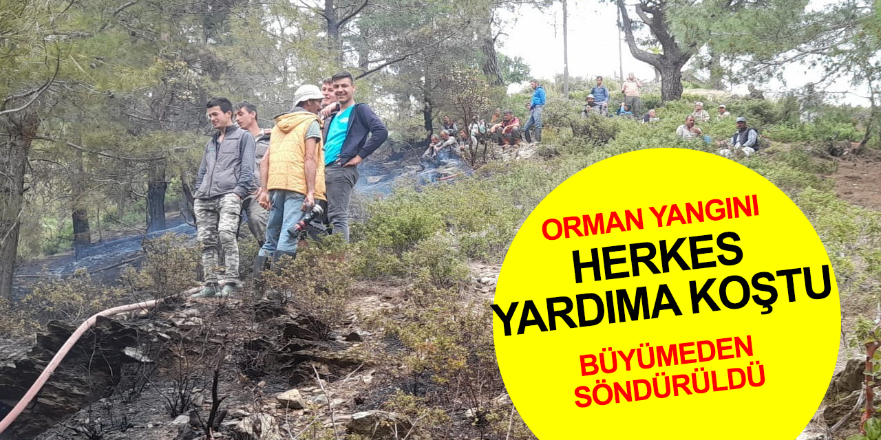 Anamur'da orman yangını! Duyarlı vatandaşların desteğiyle büyümeden söndürüldü