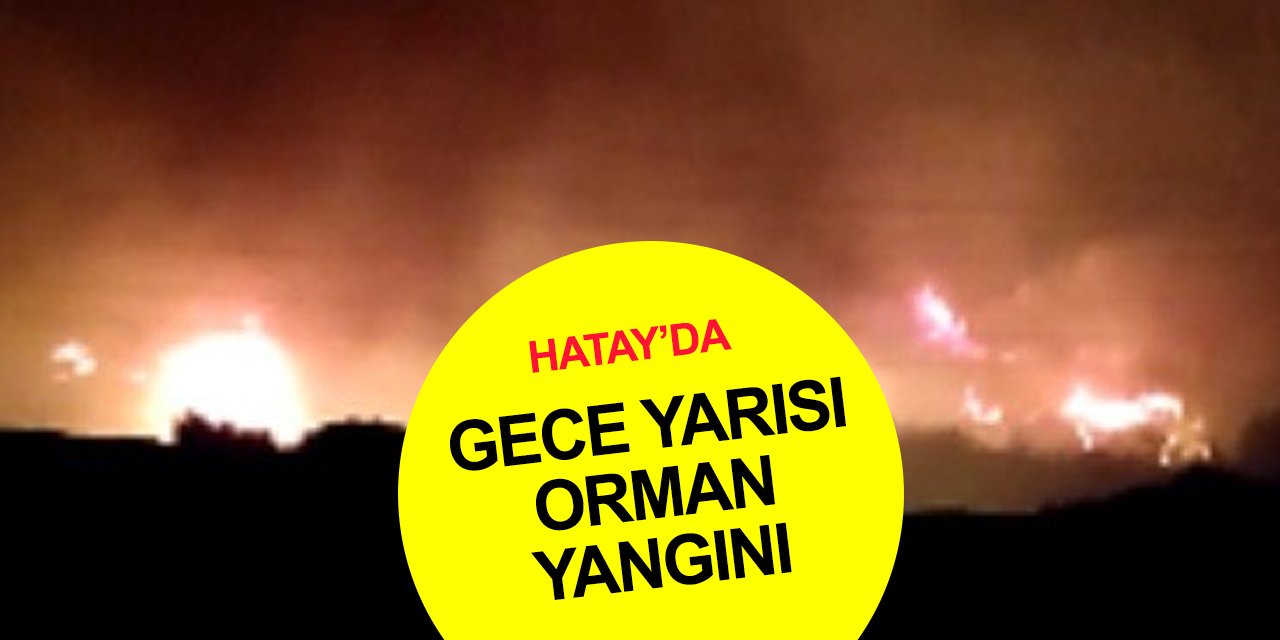 Hatay’da gece yarısı orman yangını! Çok sayıda ekip müdahale ediyor
