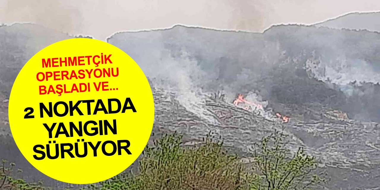Mehmetçik'in operasyona çıkması sonrası başlamıştı! Hatay'daki orman yangını 2 noktada sürüyor