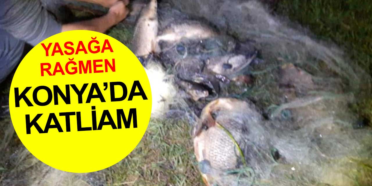 Konya'da yasağa rağmen katliam yapmışlar... Türleri yok eden şahısların malzemeleri ele geçirildi
