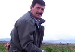 Beyşehir'de pancar tarlada kaldı