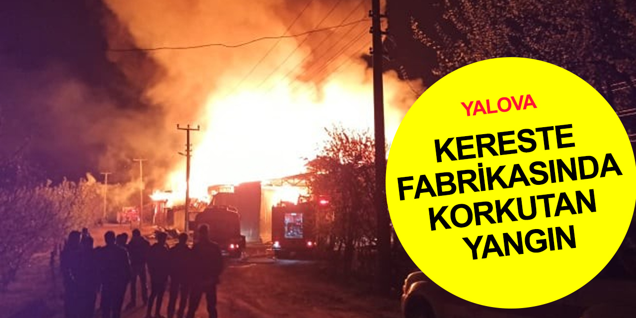 Altınova'da gece yarısı korkutan yangın! Kereste fabrikası alev alev