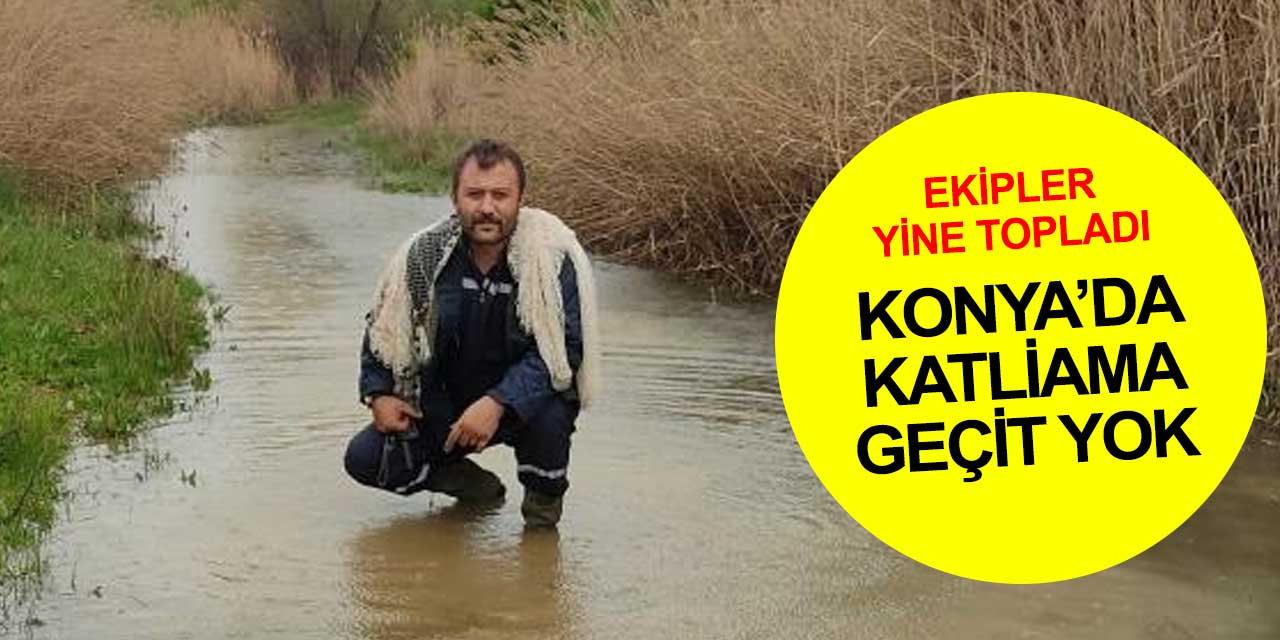 Konya'da katliama geçit yok! Ekipler sürekli sahada yasak avlanan şahısları takip ediyor