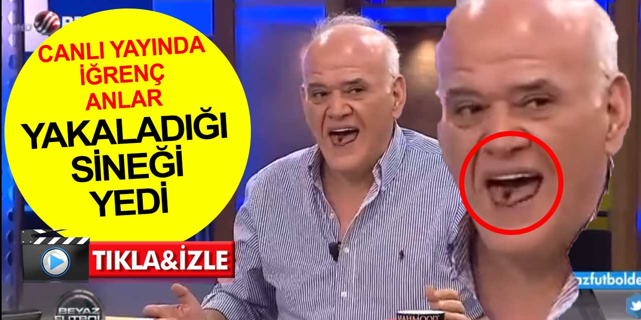 Herşey reyting için! Ahmet Çakar canlı yayında yakaladığı sineği yedi olay oldu