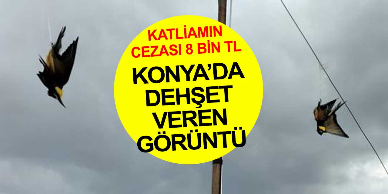 Konya'da dehşete düşüren görüntüye ekipler dur dedi... Silahına el konulup 8 bin lira ceza kesildi