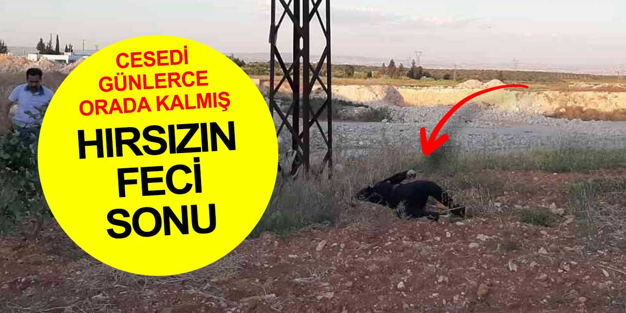 Gaziantep'i elektriksiz bırakacaktı! Hırsızlık yapmak için girdi elektrik akımına kapılıp öldü... Cesedi günlerdir orada kaldı