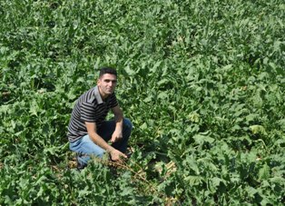 Yağmur Karapınar'da çiftçilerin yüzünü güldürdü