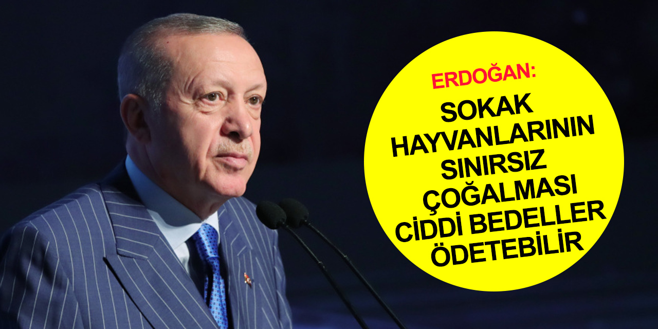 Cumhurbaşkanı Erdoğan'dan sokak hayvanlarıyla mücadelede Konya örneği!