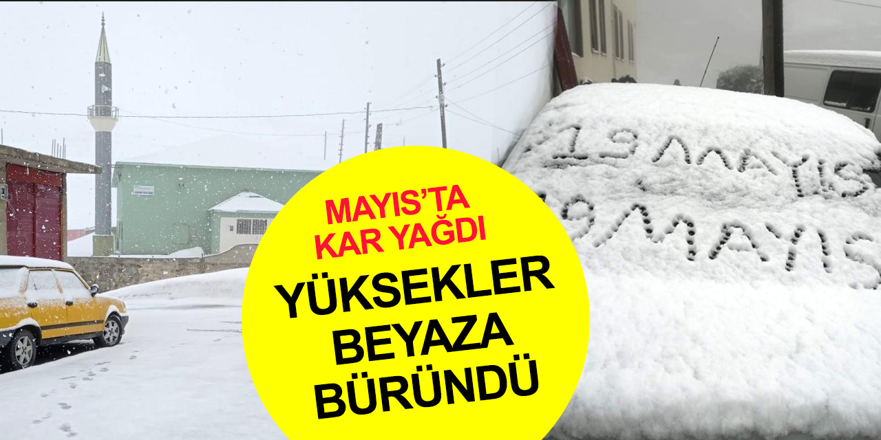 19 Mayıs'ta kar yağdı! Yüksekler beyaz örtüyle kaplandı