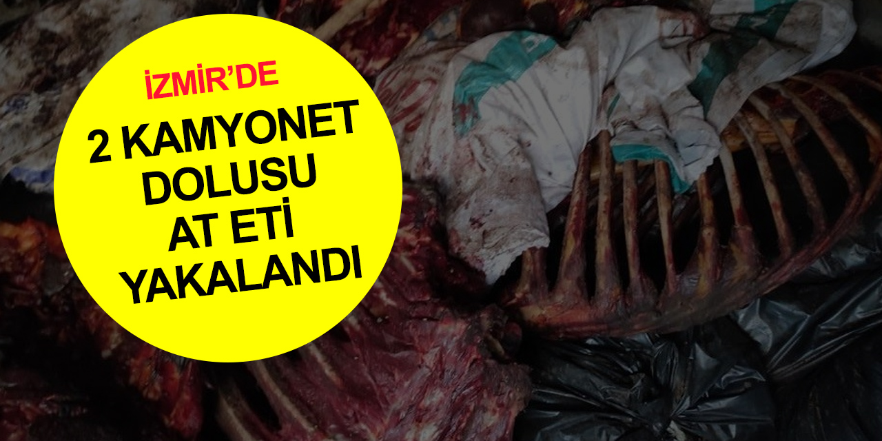 İzmir’de at eti alarmı! 3 bin 660 kilo çürümeye yüz tutmuş at eti ele geçirildi
