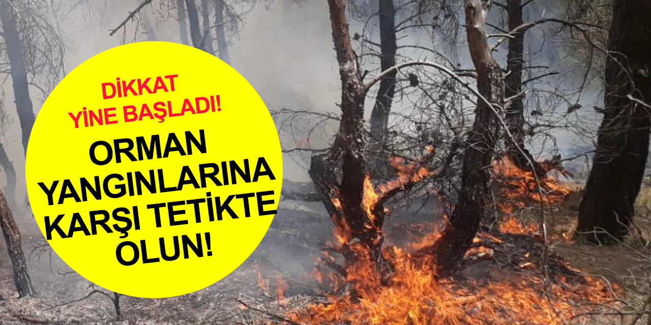 Havalar ısındı orman yangınları başladı! Uşak’ta 1,5 dekar alan zarar gördü