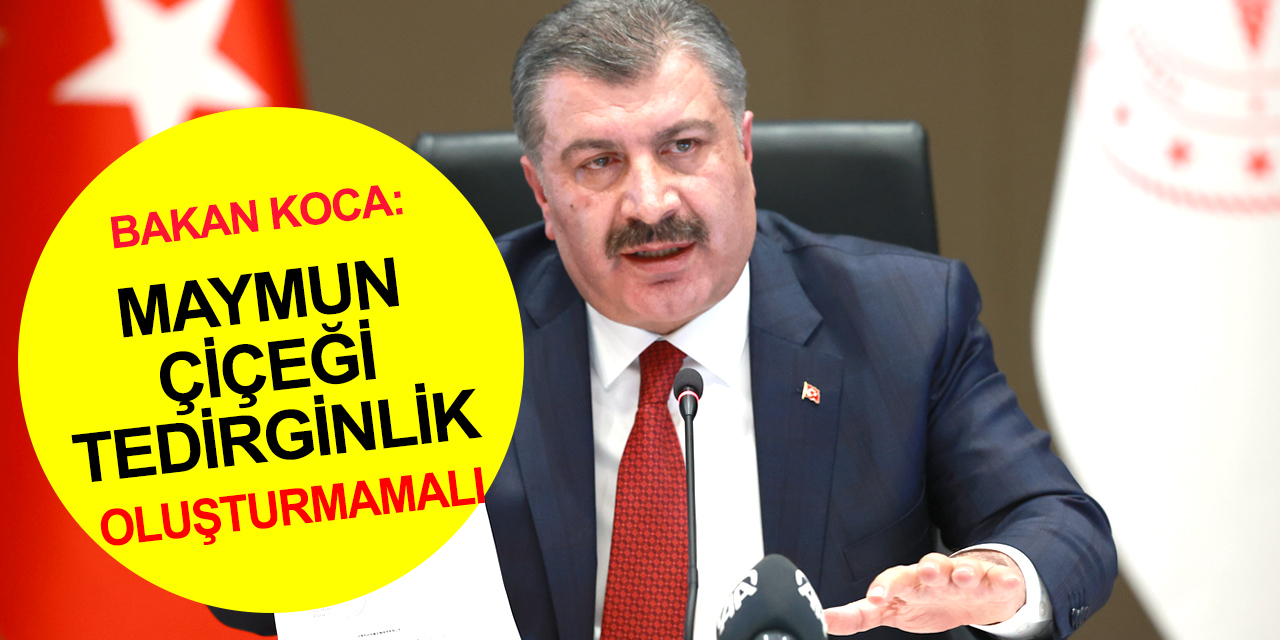 Sağlık Bakanı Koca'dan 'maymun çiçeği' açıklaması! Türkiye'de vaka görüldü mü?