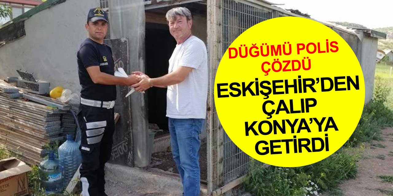 Eskişehir'de misafir diye evine aldığı adam 8 güvercinini çalarak Konya'ya getirdi