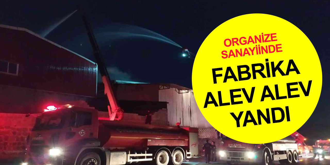 Tekstil geri dönüşüm fabrikasında yangın! Çok sayıda ekip müdahale etti