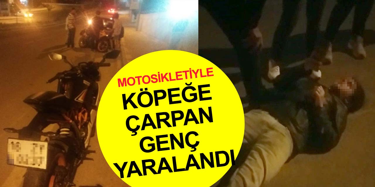 Yola fırlayan köpeğe çarpan motosiklet sürücüsü hastanelik oldu