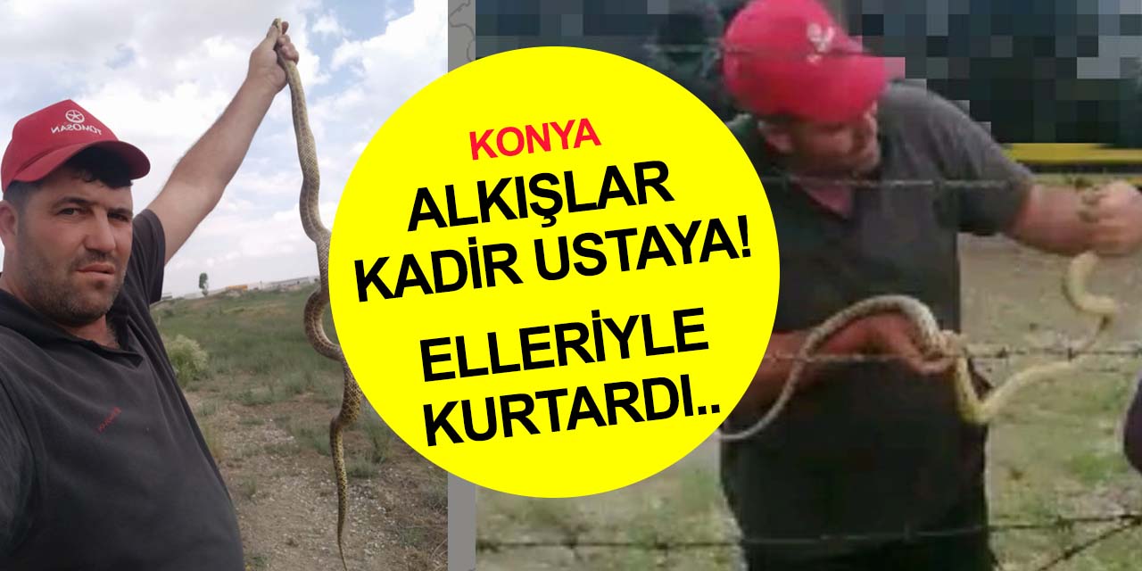 Alkışlar Kadir ustaya! Konya’da makinenin içine giren 2 metrelik yılanı elleriyle çıkarıp doğaya bıraktı