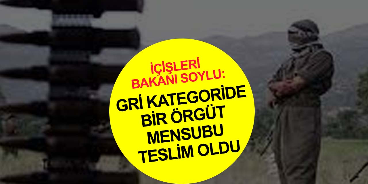 İçişleri Bakanı Soylu duyurdu: PKK terör örgütü sökülüp atılıyor! Gri kategorideki PKK'lı teslim oldu