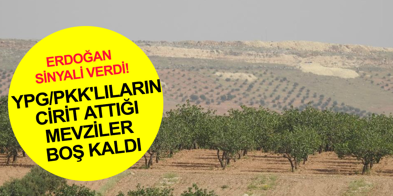 Cumhurbaşkanı Erdoğan harekat sinyali verdiği Suriye'de YPG/PKK'lar mevzilerin arkasına saklandı