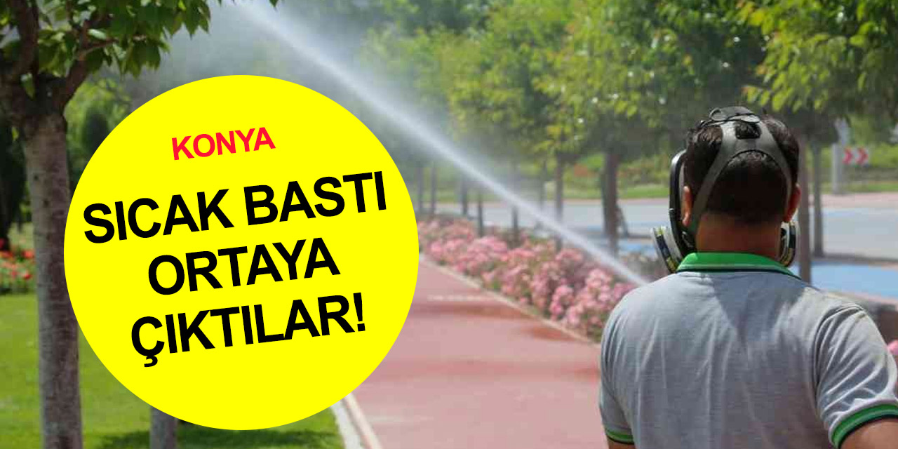 Konya'da sıcak bastı sinek ve haşereler ortaya çıktı! Meram’da ihbar hattı duyuruldu