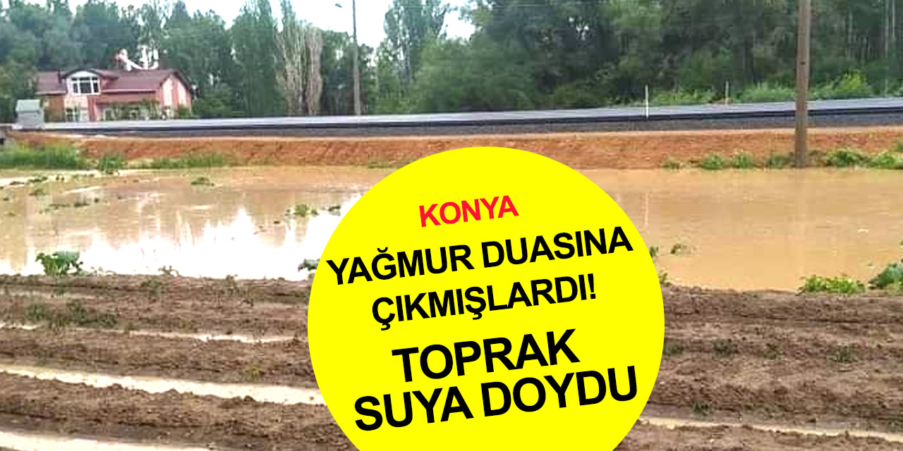 Konya'da Haziran yağışı çiftçinin yüzünü güldürdü! Derebucak'a metrekareye 22,7 kilogram yağmur düştü
