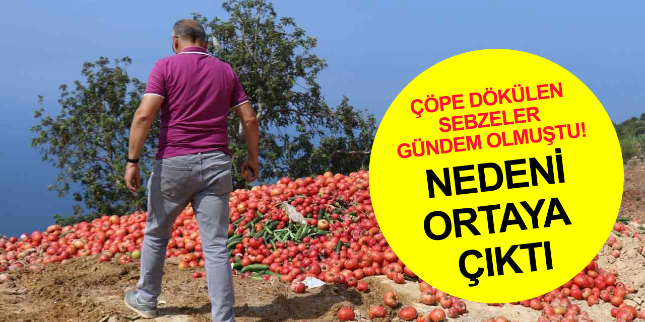 Antalya’da çöpe dökülen tonlarca taze sebze tepki çekmişti! Açıklama geldi