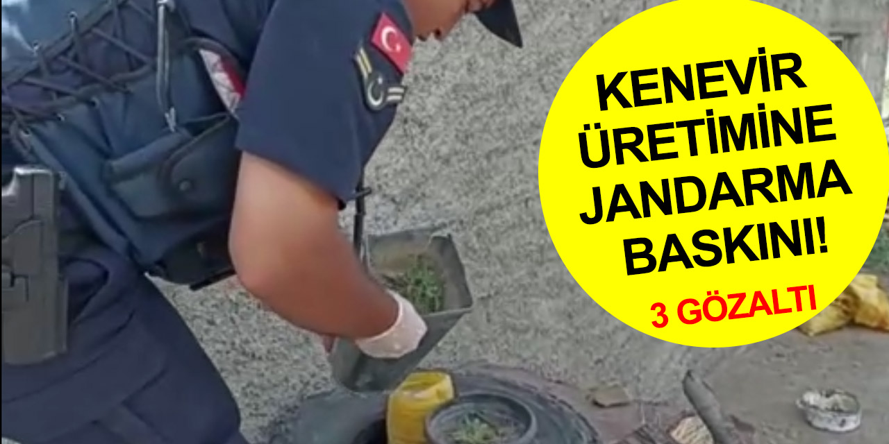 Karkın'da bahçe ve saksıda kenevir üretilen eve baskın! 1'i kadın 3 gözaltı