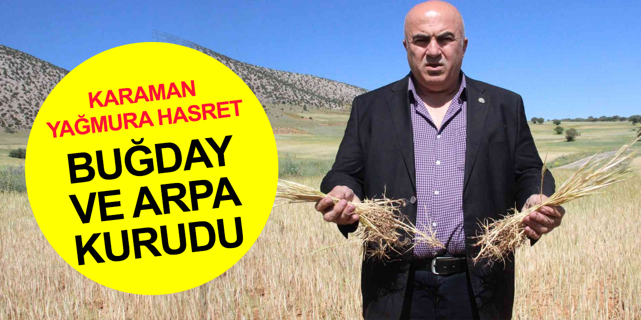 Konya'da tarlaları göle çeviren yağışlar Karaman'a düşmedi! Kıraç arazilerdeki buğday ve arpa kurudu