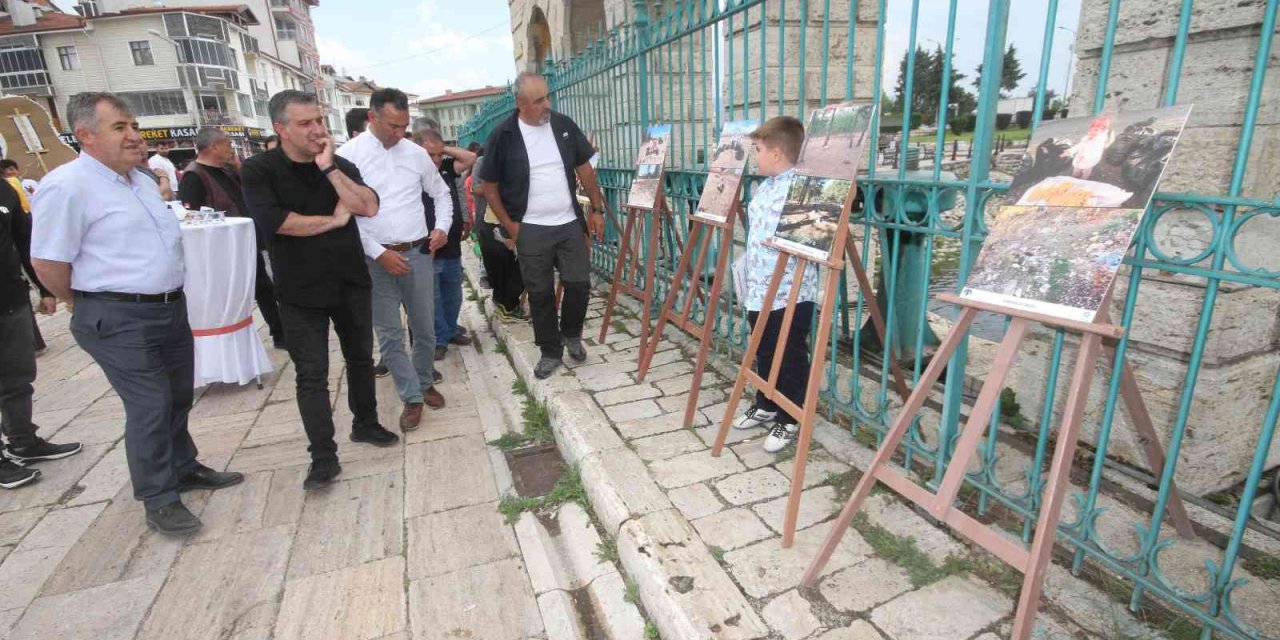 Konya'nın yeşil alanlarındaki çevre kirliliği fotoğraflarla sergilendi