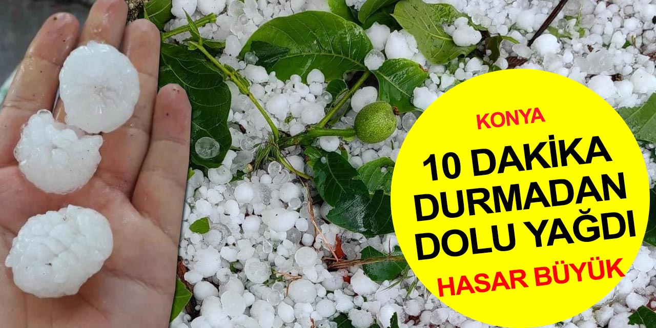 Konya'da ceviz büyüklüğünde dolu yağdı! Tarla ve meyve ağaçları zarar gördü