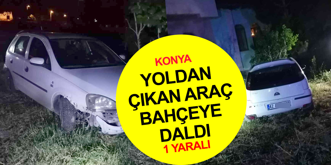 Konya'da aniden yola fırlayan köpek kazaya neden oldu! 1 yaralı