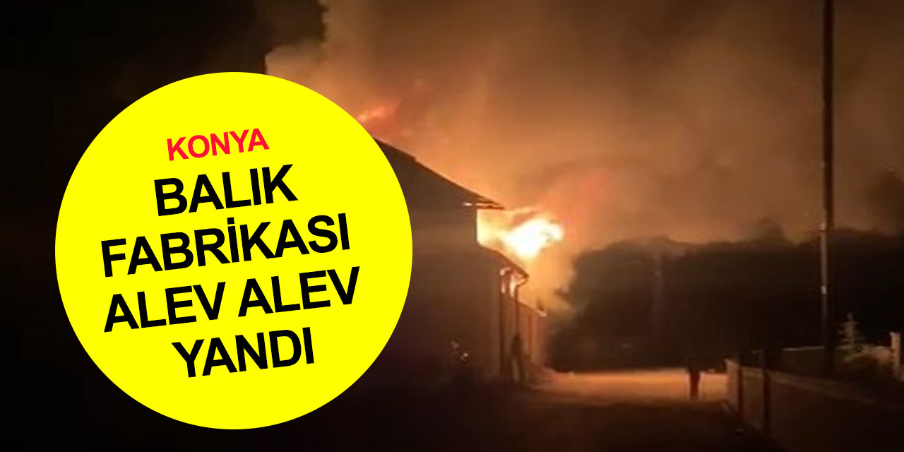 Konya'dan dünyaya ihracat yapan balık fabrikası alev alev yandı! Hasar büyük