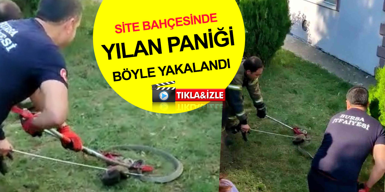 Site bahçesinde yılan paniği! 1 buçuk metre boyundaki yılan böyle yakalandı