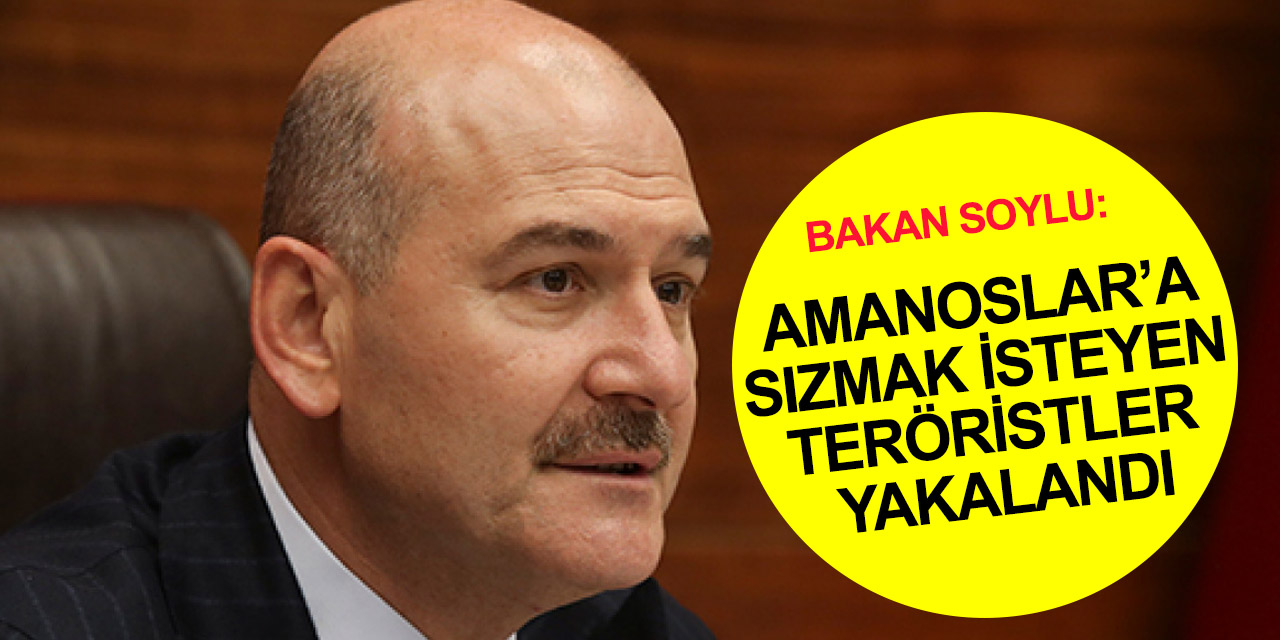 Son dakika! Bakan Soylu duyurdu! Afrin'de Amanoslar'a sızmak isteyen teröristler ele geçirildi!