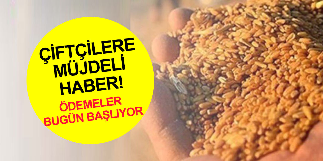Son Dakika! Çiftçilerin beklediği haber! Tarımsal destek ödemeleri bugün başlıyor