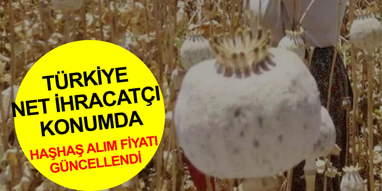 Toprak Mahsulleri Ofisi 2022 haşhaş kapsülü alım fiyatlarını güncelledi! Konya'da ne kadar?