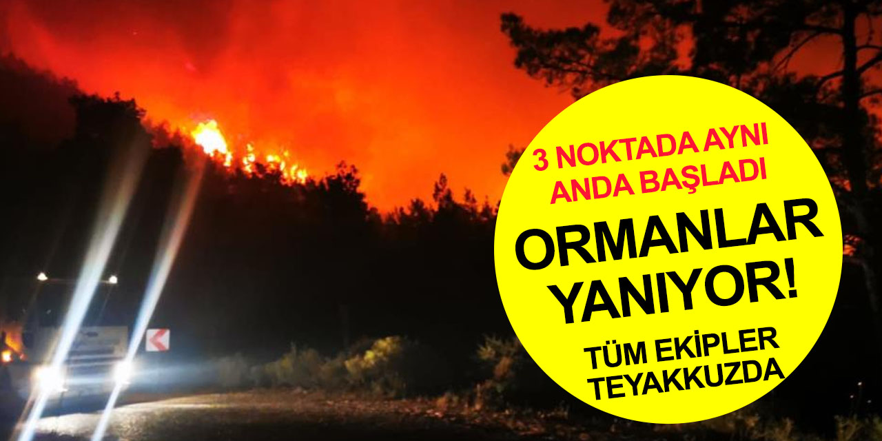 Marmaris’te 3 noktada aynı anda başlayan orman yangını büyüdü! Bakanlar Soylu ve Kirişci bölgeye gidiyor