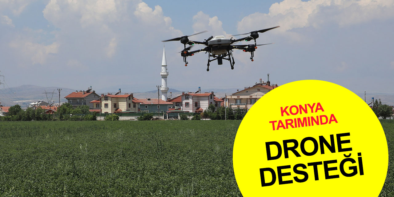 Konya Büyükşehir 700 bin metrekare araziye aspir ekti! Geliri sosyal yardımlara gidecek