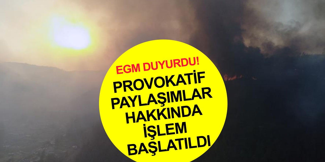 EGM'den son dakika açıklaması! Marmaris'teki orman yangınıyla ilgili suç içerikli paylaşımda bulunanlara işlem başlatıldı