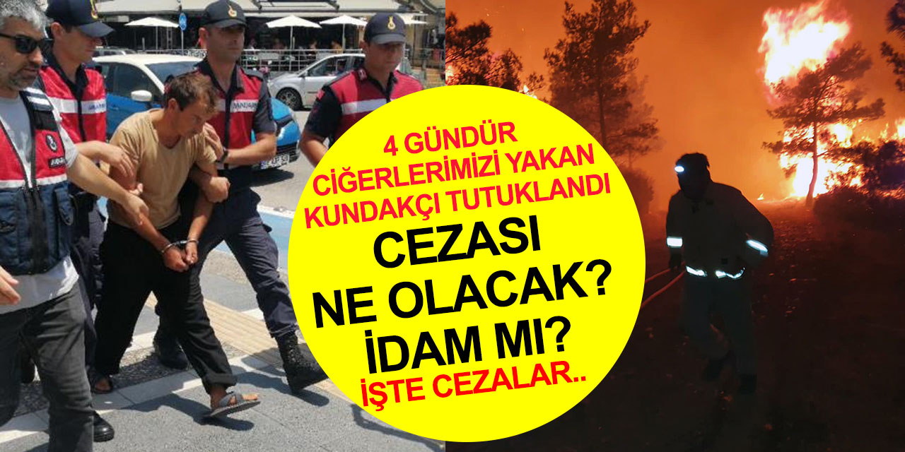 Yakanın yanına kâr kalmıyor! Yetmez ama işte orman kundakçılarına verilen cezalar