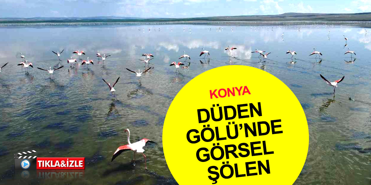 Konya'dan muhteşem manzara! Yağışların doldurduğu gölde allı turnalardan görsel şölen