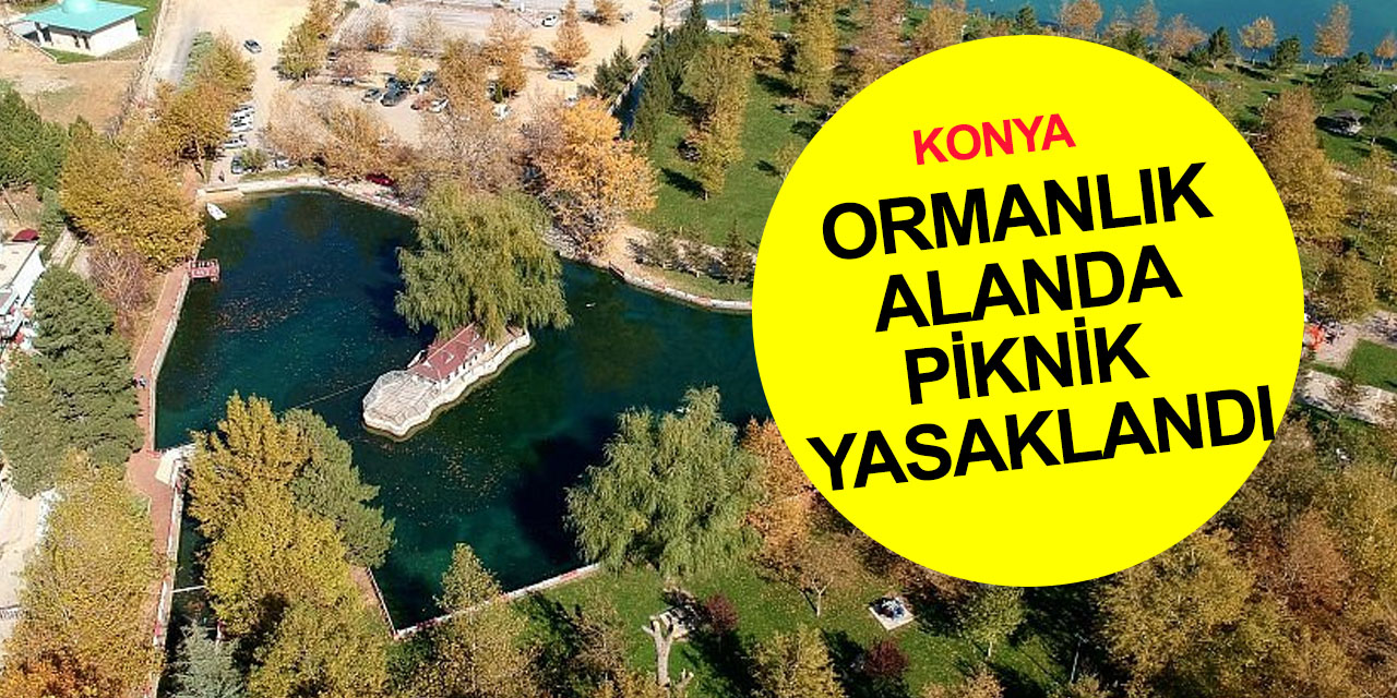 Koya'da orman yangınına karşı önlem! Seydişehir’de piknik, düğünlerde maytap ve havai fişek yasak
