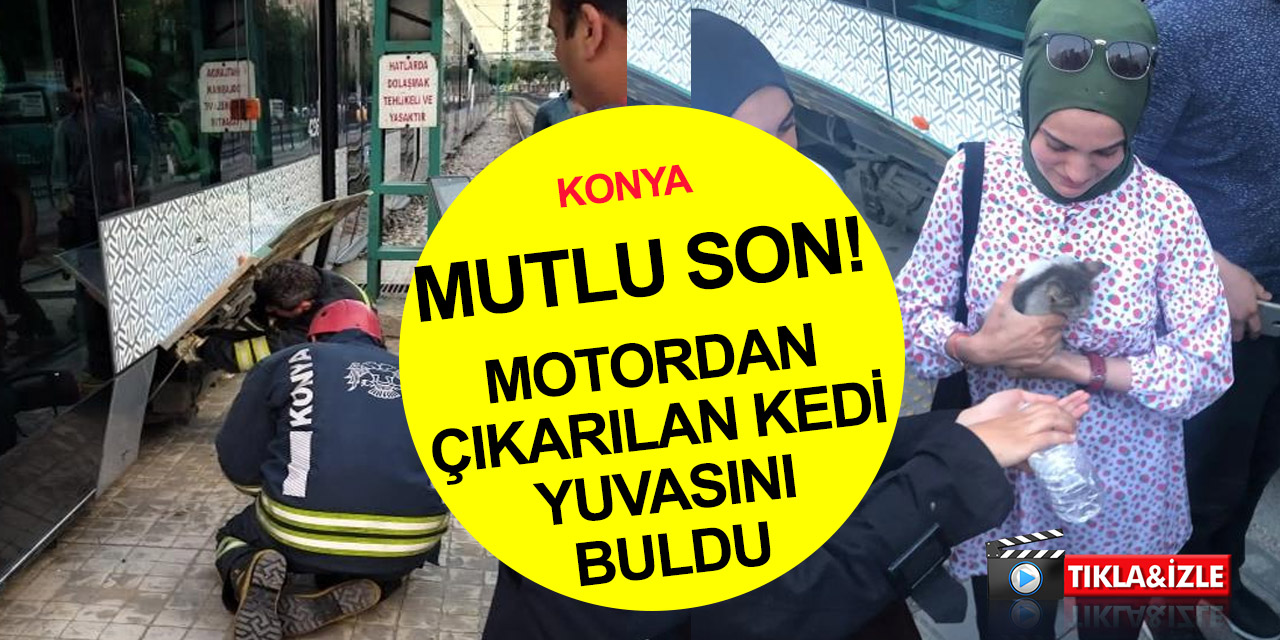 Konya'da tramvaydan kedi kurtarma operasyonu! Mutlu sonla bitti