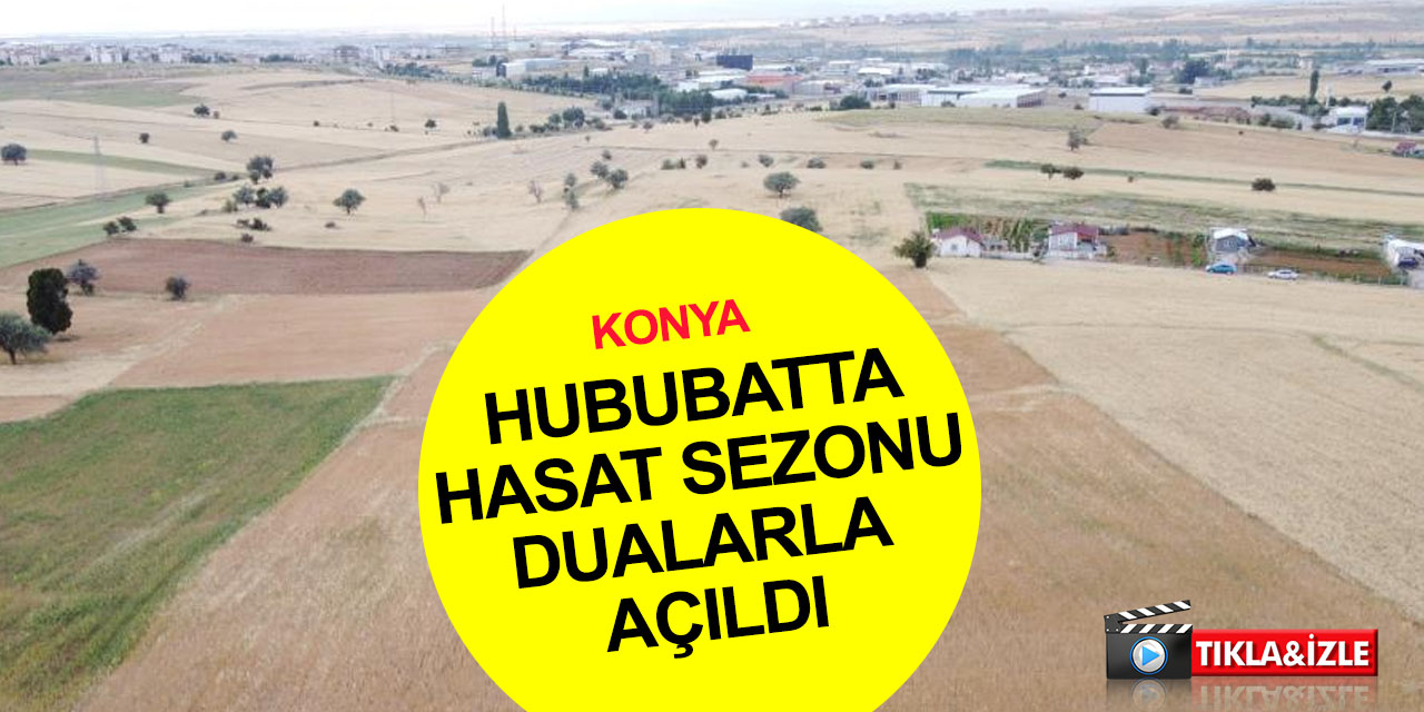 Konya'da çiftçiler hububat hasadı sezonunu dualarla açtı! Beyşehir'de mercimek üreticisine müjde
