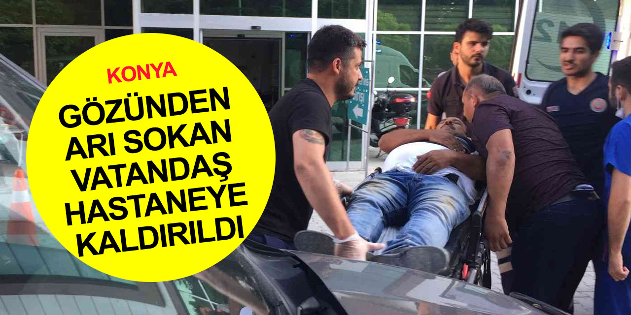 Konya'da göz kapağından arı sokan şahıs fenalaştı