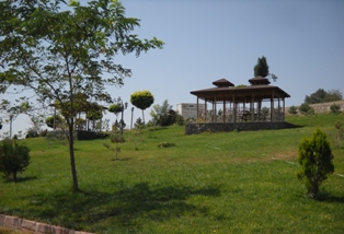 Ali Tepe Parkı'nda peyzaj çalışması