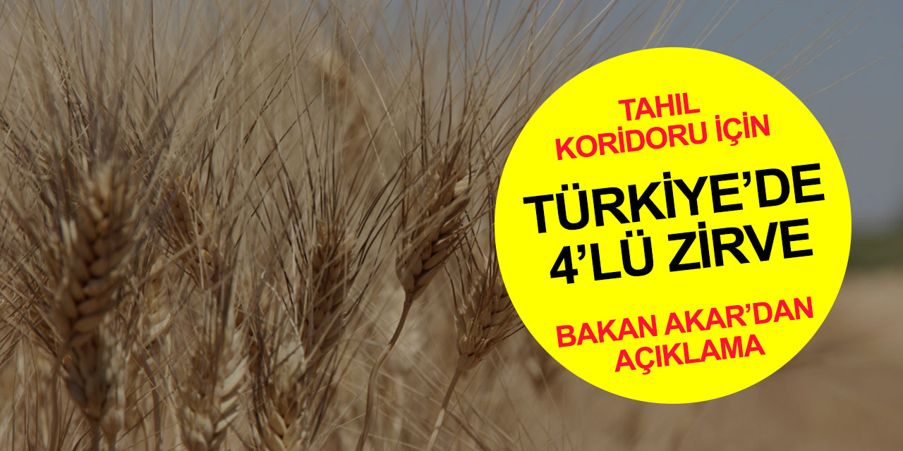 Erdoğan'ın 'gıda krizi'ne karşı çalışmaları sonuç verdi! Dünyanın gözü İstanbul zirvesinde