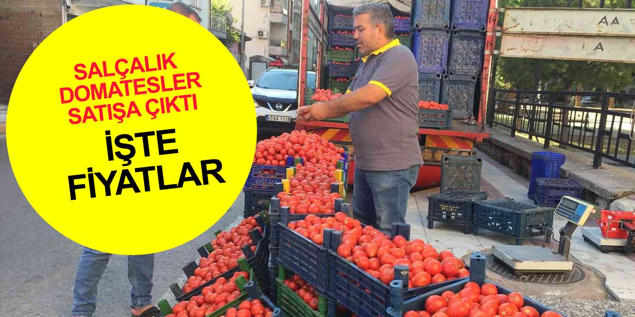 Salçalık domatesler pazarlarda yerini aldı işte fiyatlar