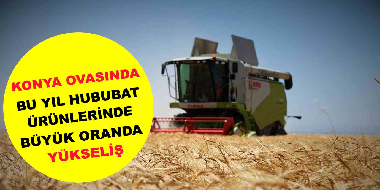 Konya Ovasında bu yıl hububat ürünlerinde verim ve kalite arttı